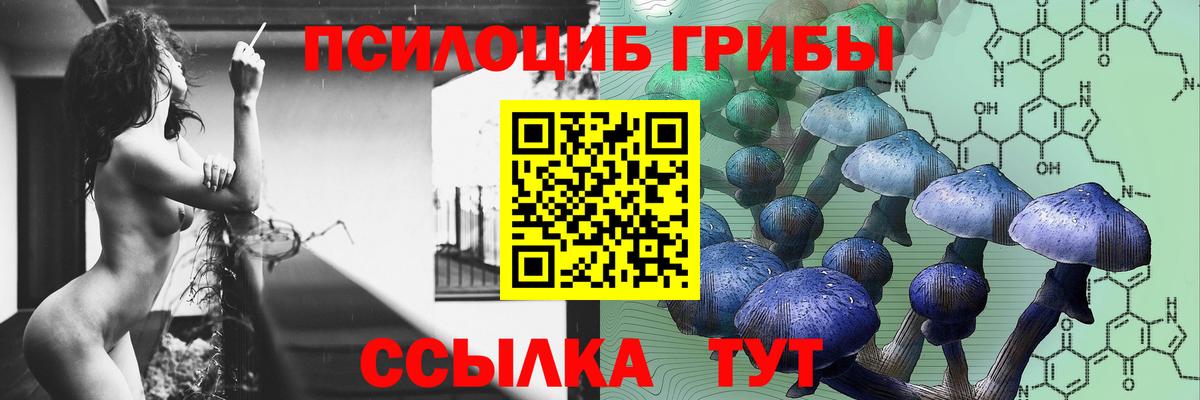 Псилоцибиновые грибы Psilocybine cubensis Бахчисарай